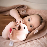 Speen / knuffeldoek olifant Copper Bobbie