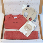 Brievenbuspakket Mats