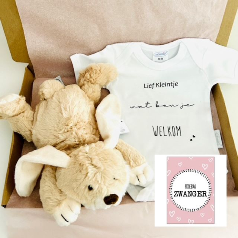 Bievenbuspakket bunny beige