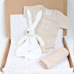 Brievenbuspakket Willow