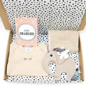 Brievenbuspakket Zwanger Mini Love 2