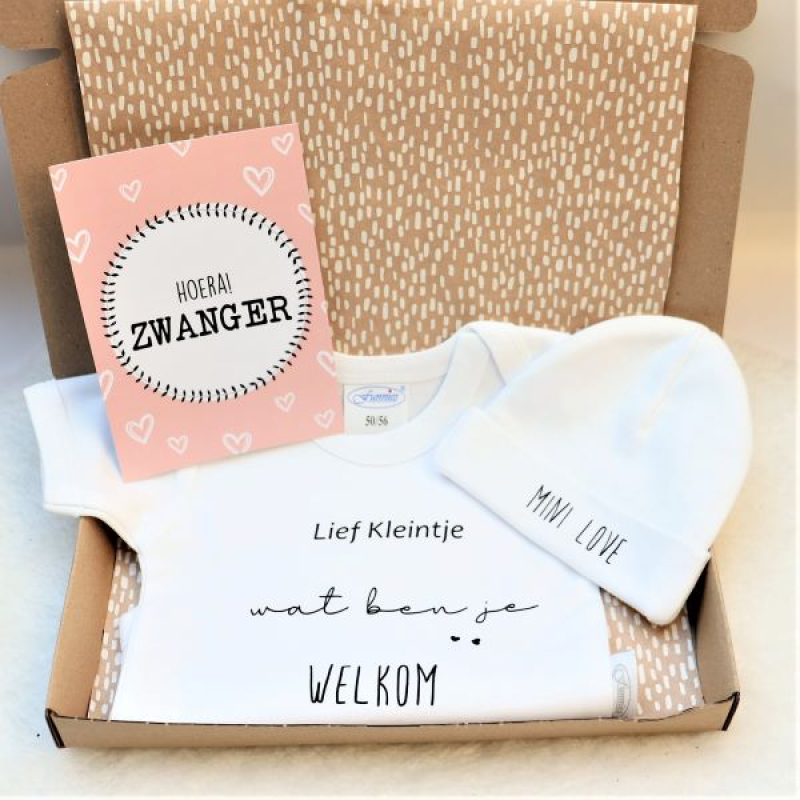 Hoera! Zwanger Lief kleintje wat ben je welkom