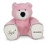 Grote knuffel Beer Gepersonaliseerd