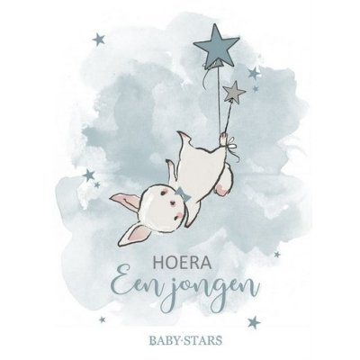 Kaart bunny hoera een jongen